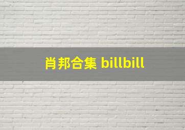 肖邦合集 billbill